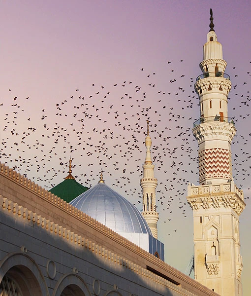 22 Days Umrah Package